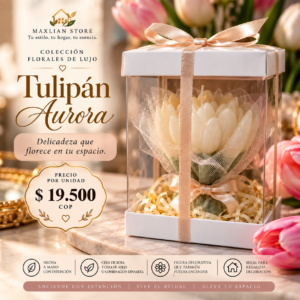TULIPÁN AURORA